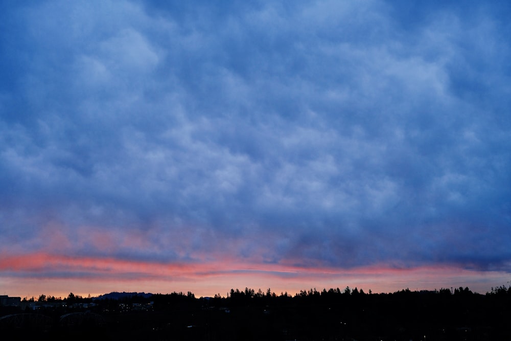 white clouds over silhouette of trees