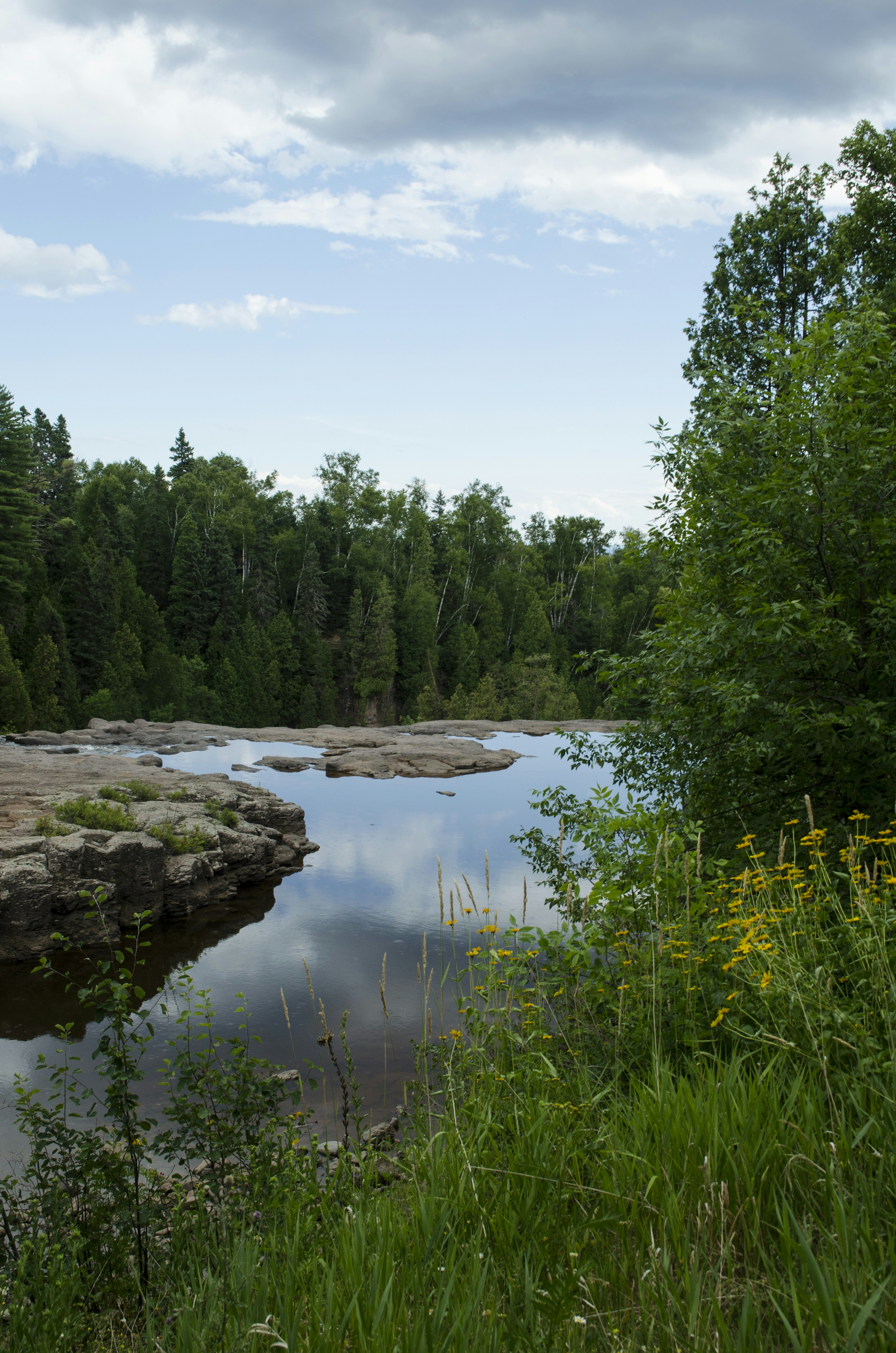 Free Unsplash photo from Patrick Moore