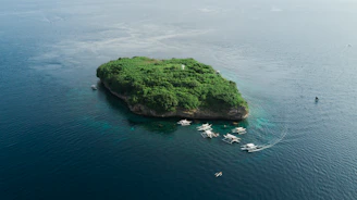 bird's eye view of island