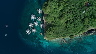 aerial photography of several white boats near island