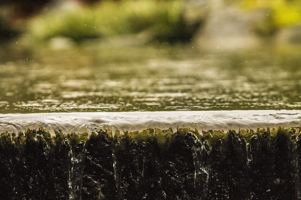 closeup photography of water stream