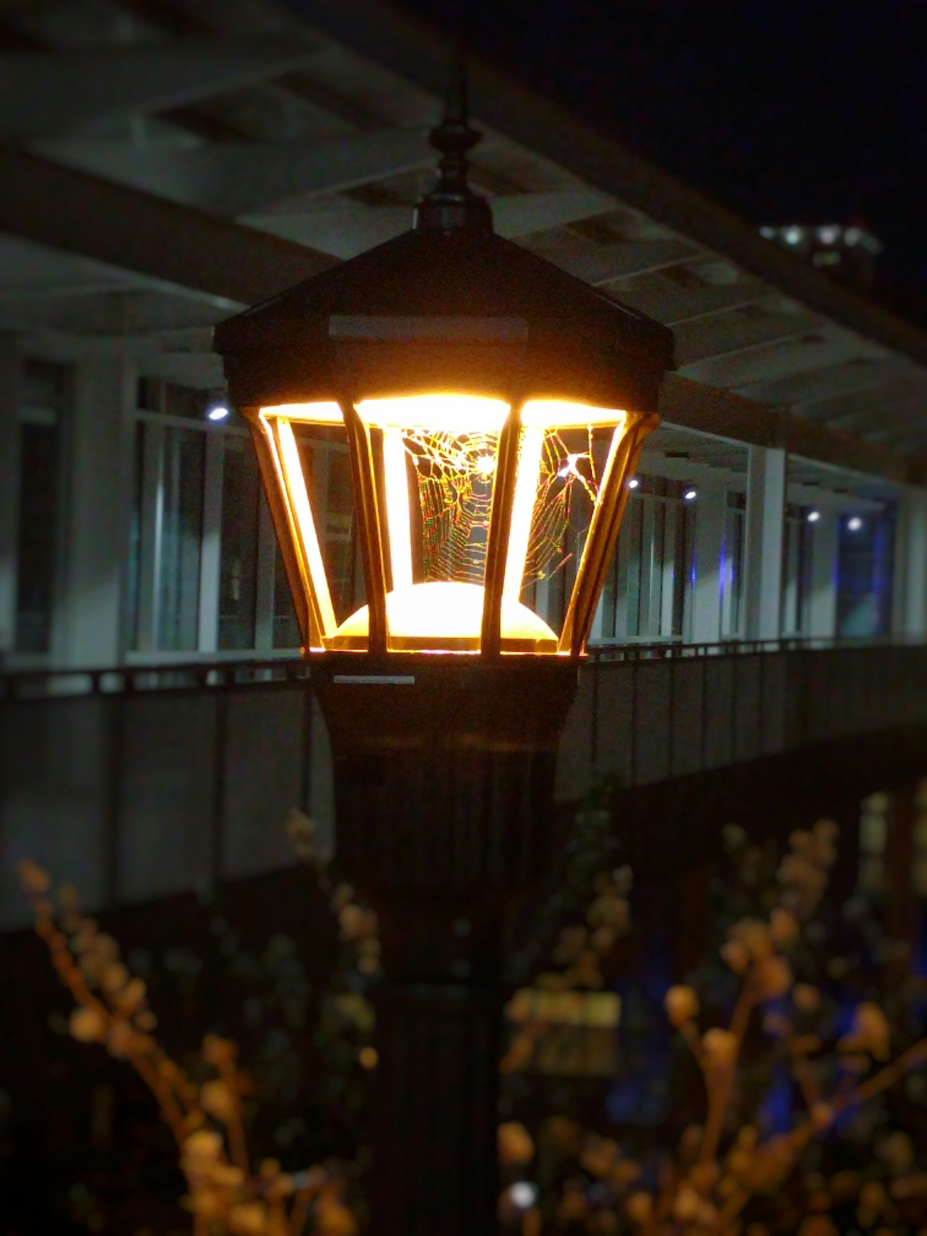 Free Unsplash photo from Mostafa