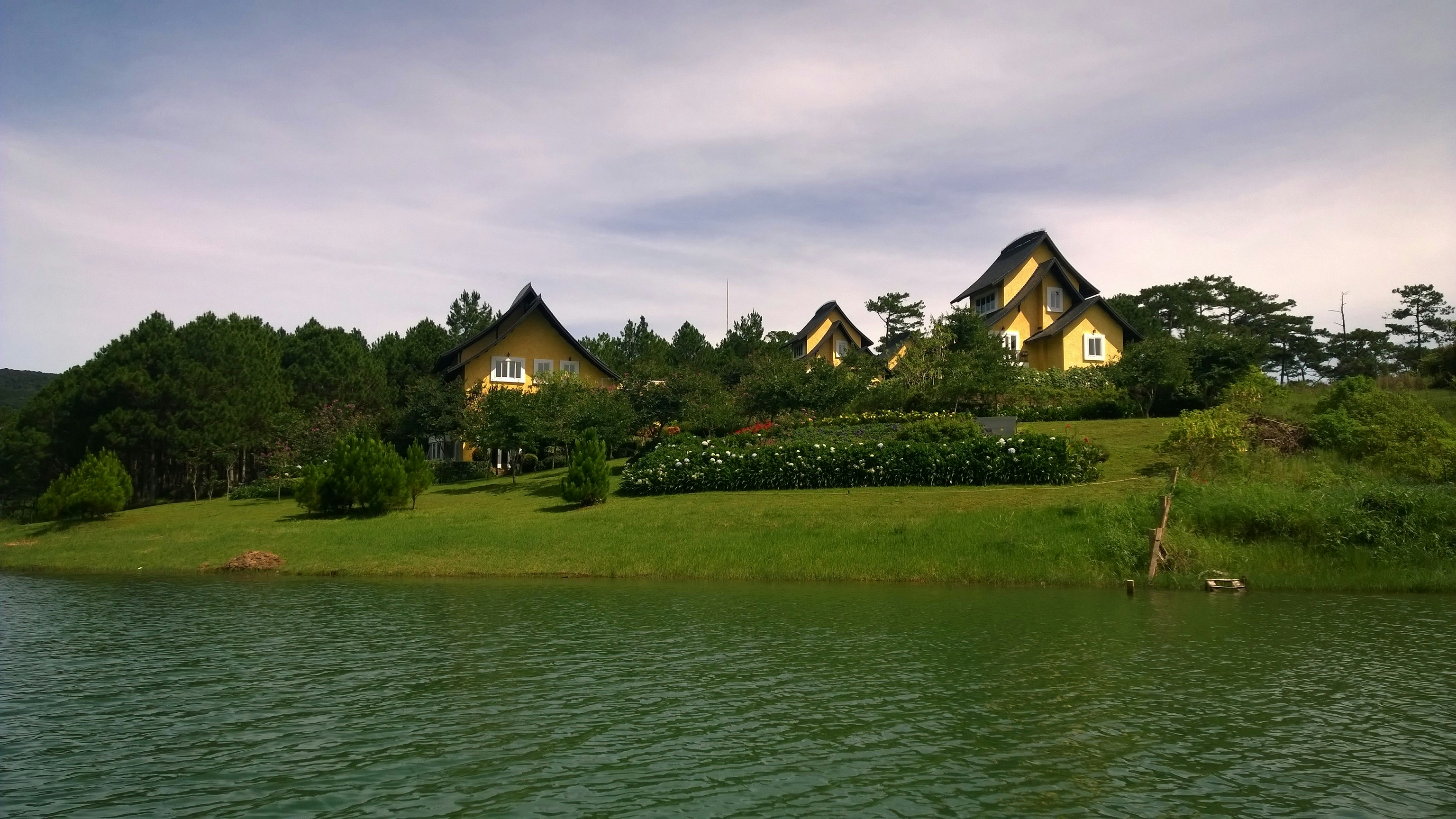 Free Unsplash photo from Nguyen Dũng