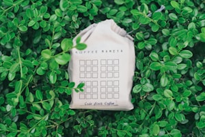 Bolsa Artesanal