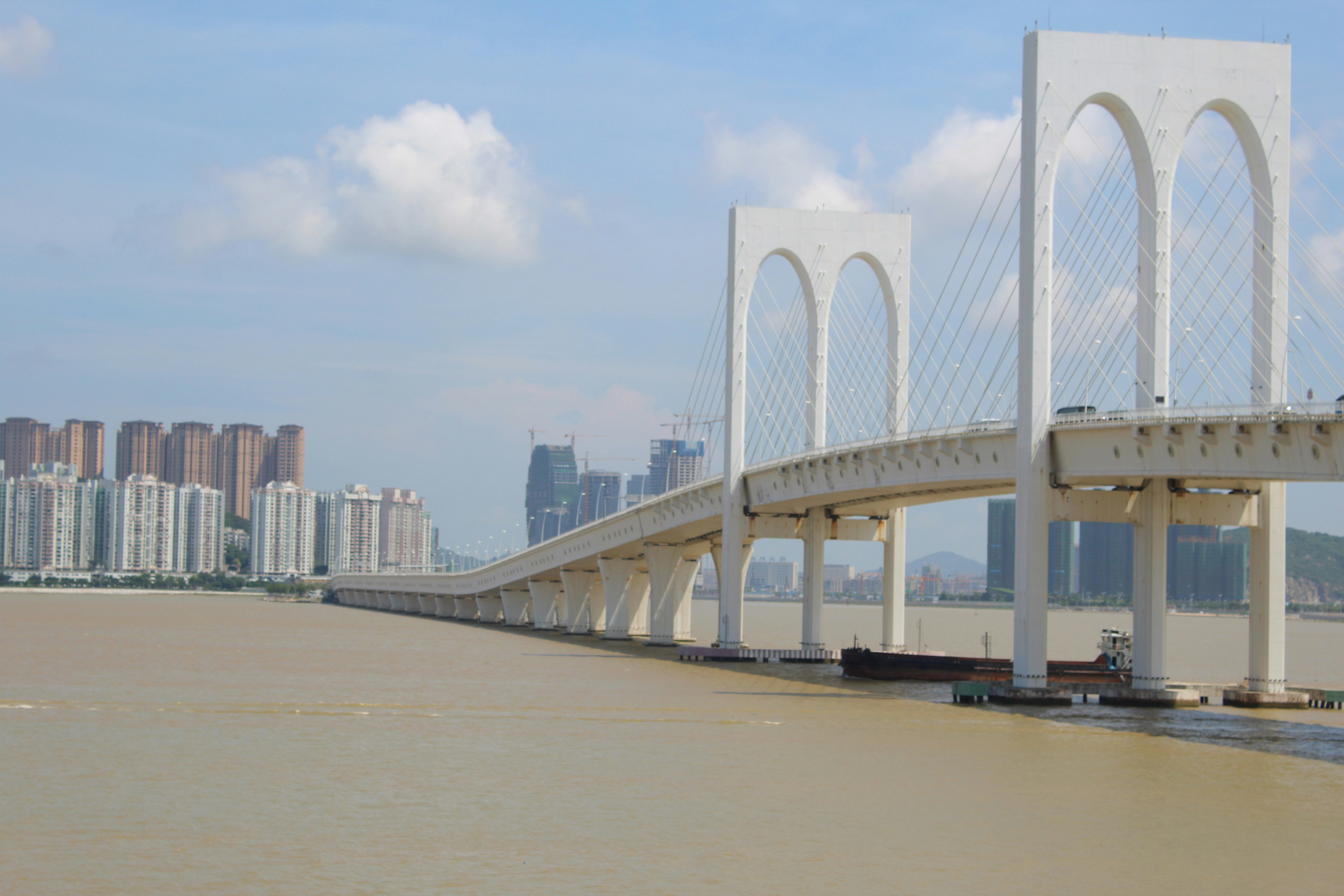 Free Unsplash photo from Ruchita Patil