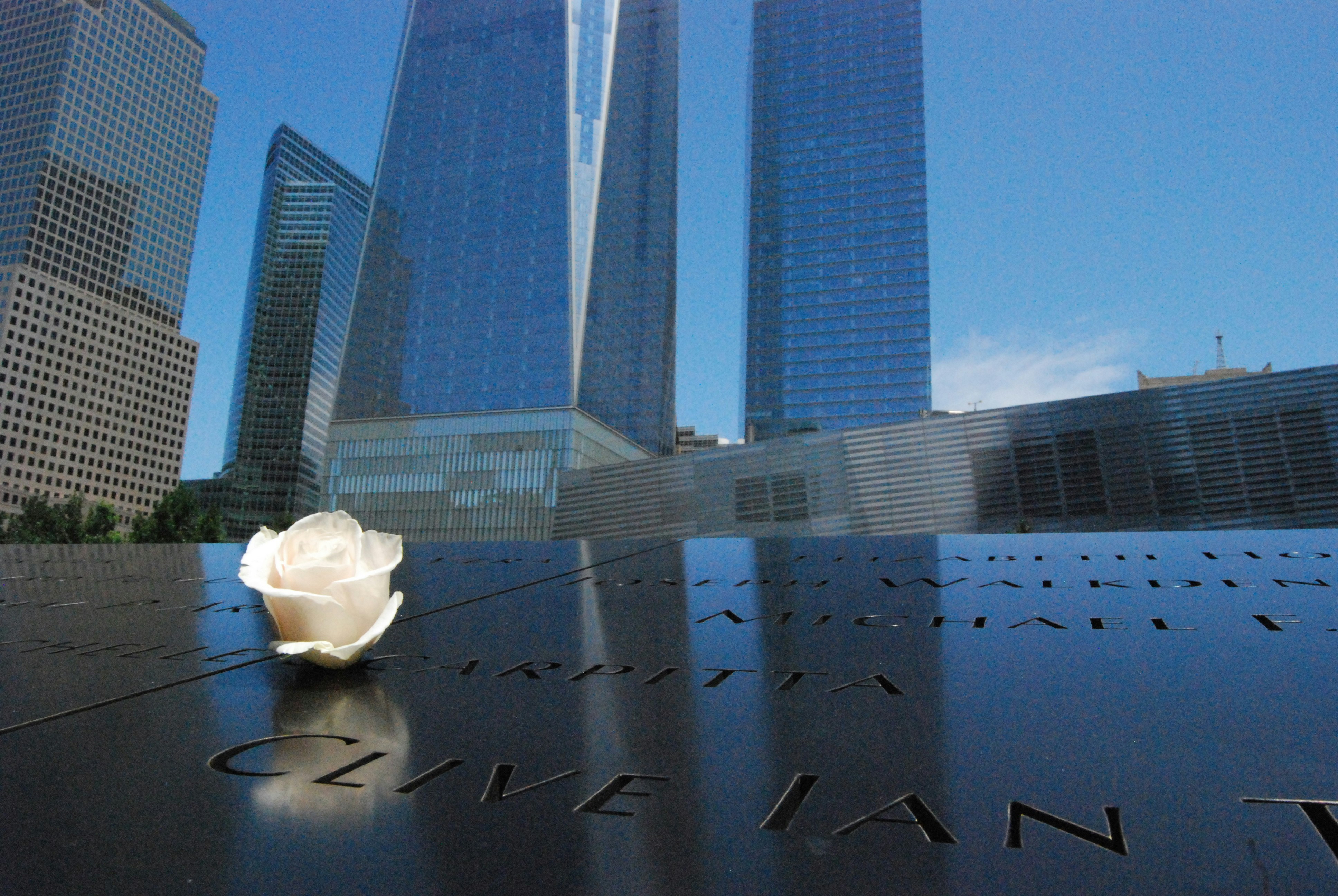 Free Unsplash photo from Juan Miguel  Sevilla Morales