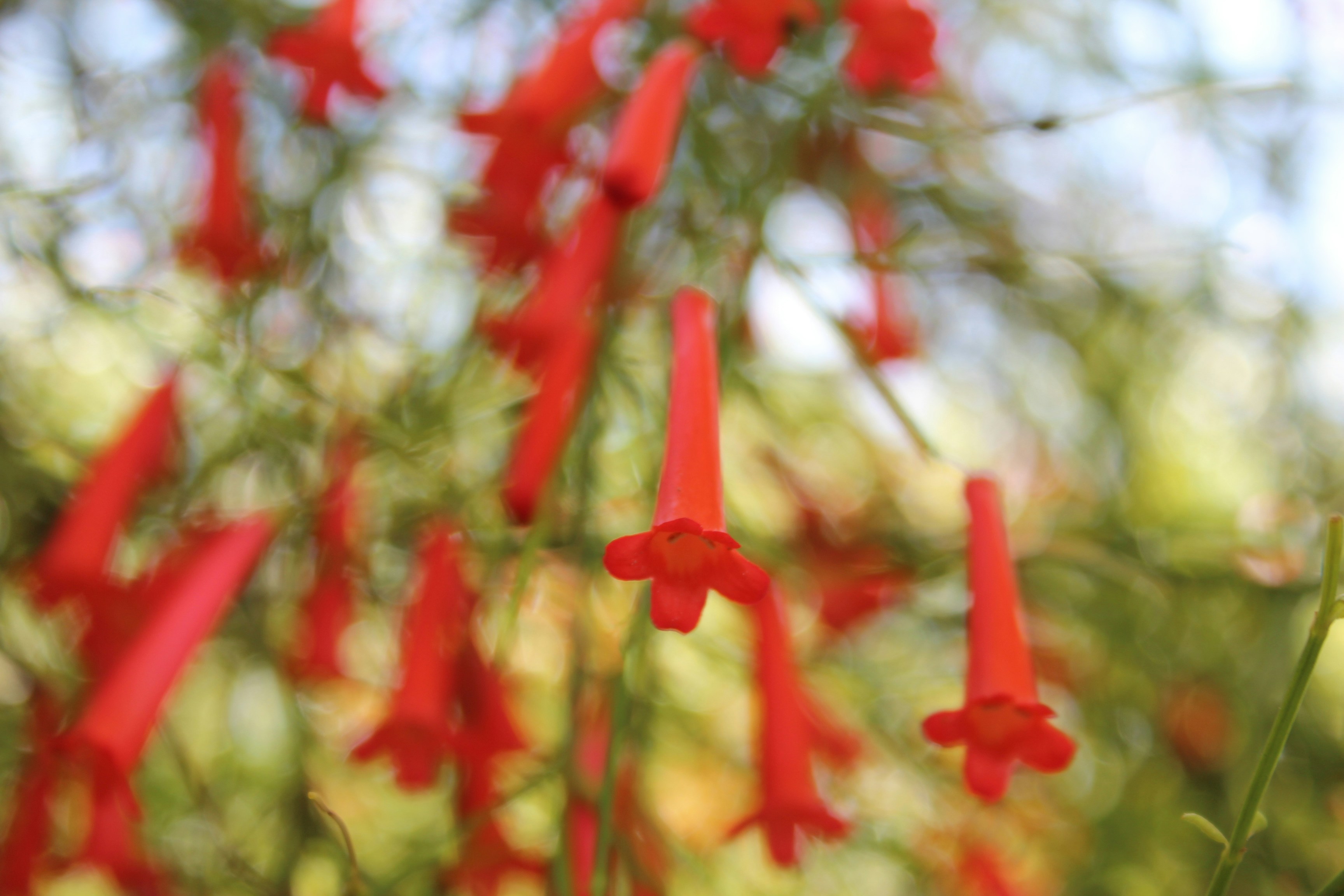 Free Unsplash photo from Saskia Schneider