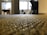 A close-up view of a textured carpet with a blurred background, suggesting an office or indoor environment. The carpet shows intricate weave patterns, and the space appears to be lit by natural light coming through a window.