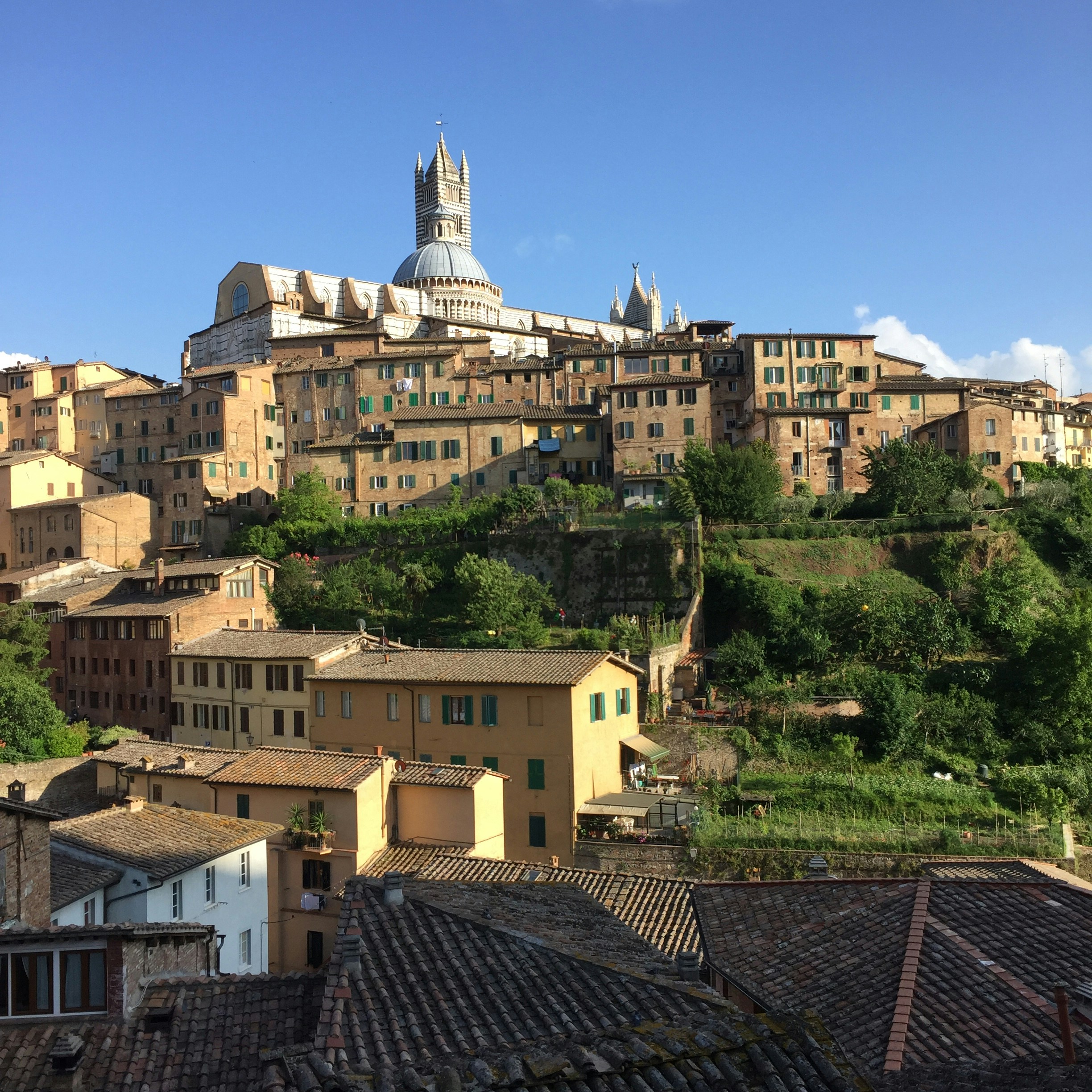 Free Unsplash photo from Emmy Katz