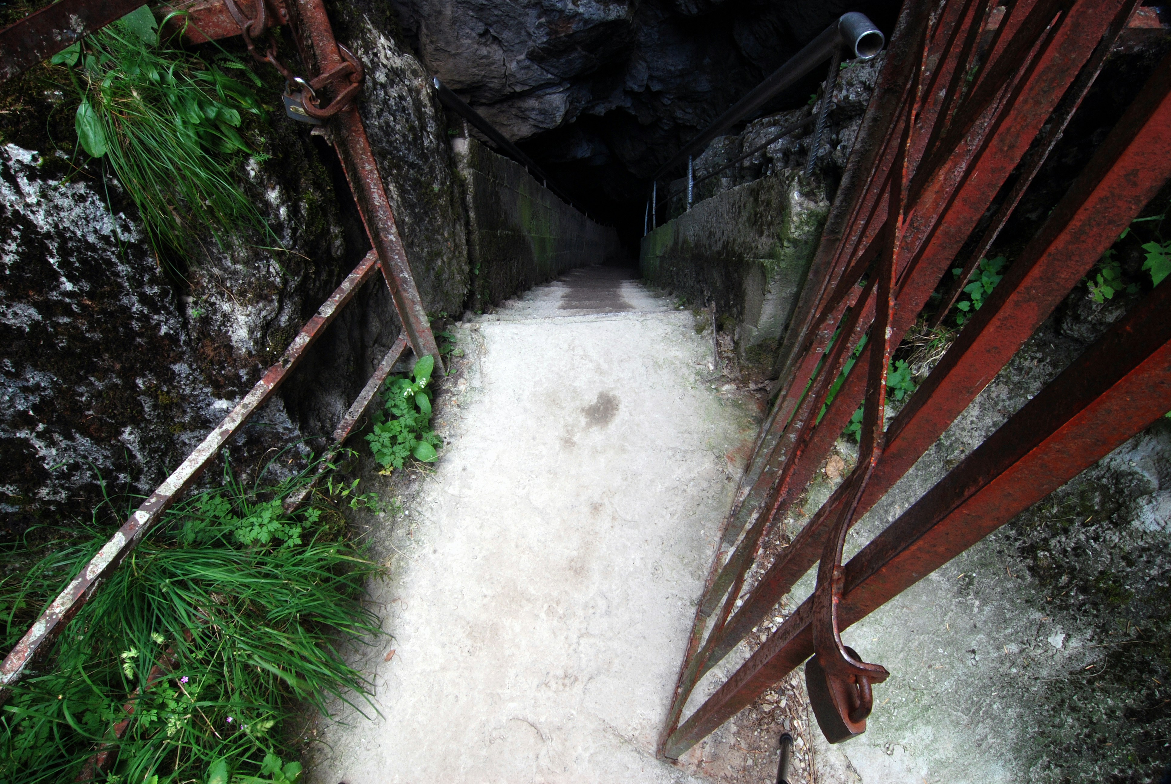 Free Unsplash photo from Ivaylo Klissarov