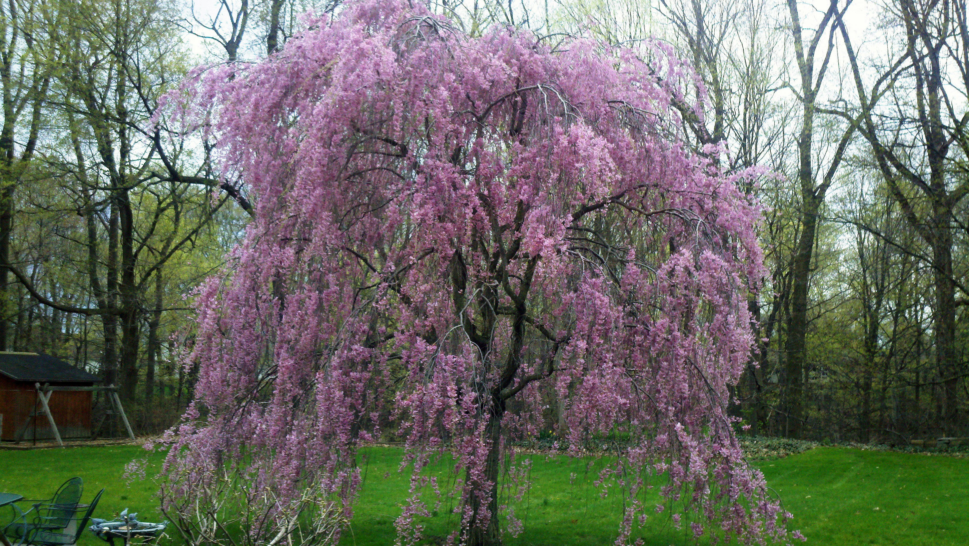 Free Unsplash photo from John Boehm