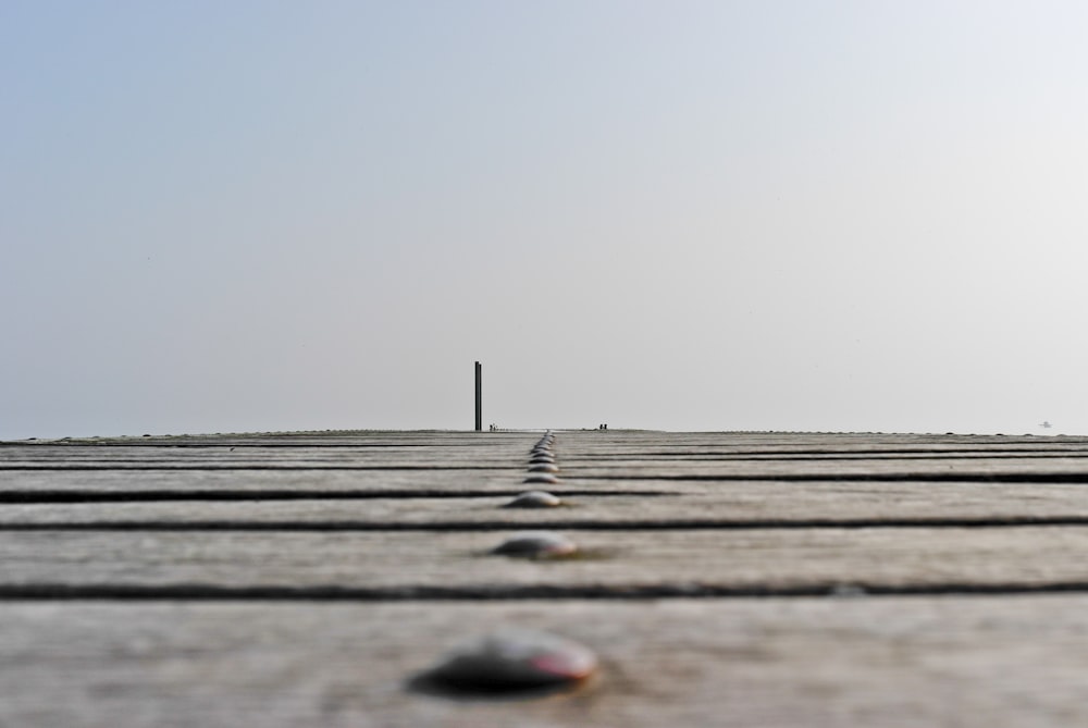 a row of stones sitting on top of a cement floor