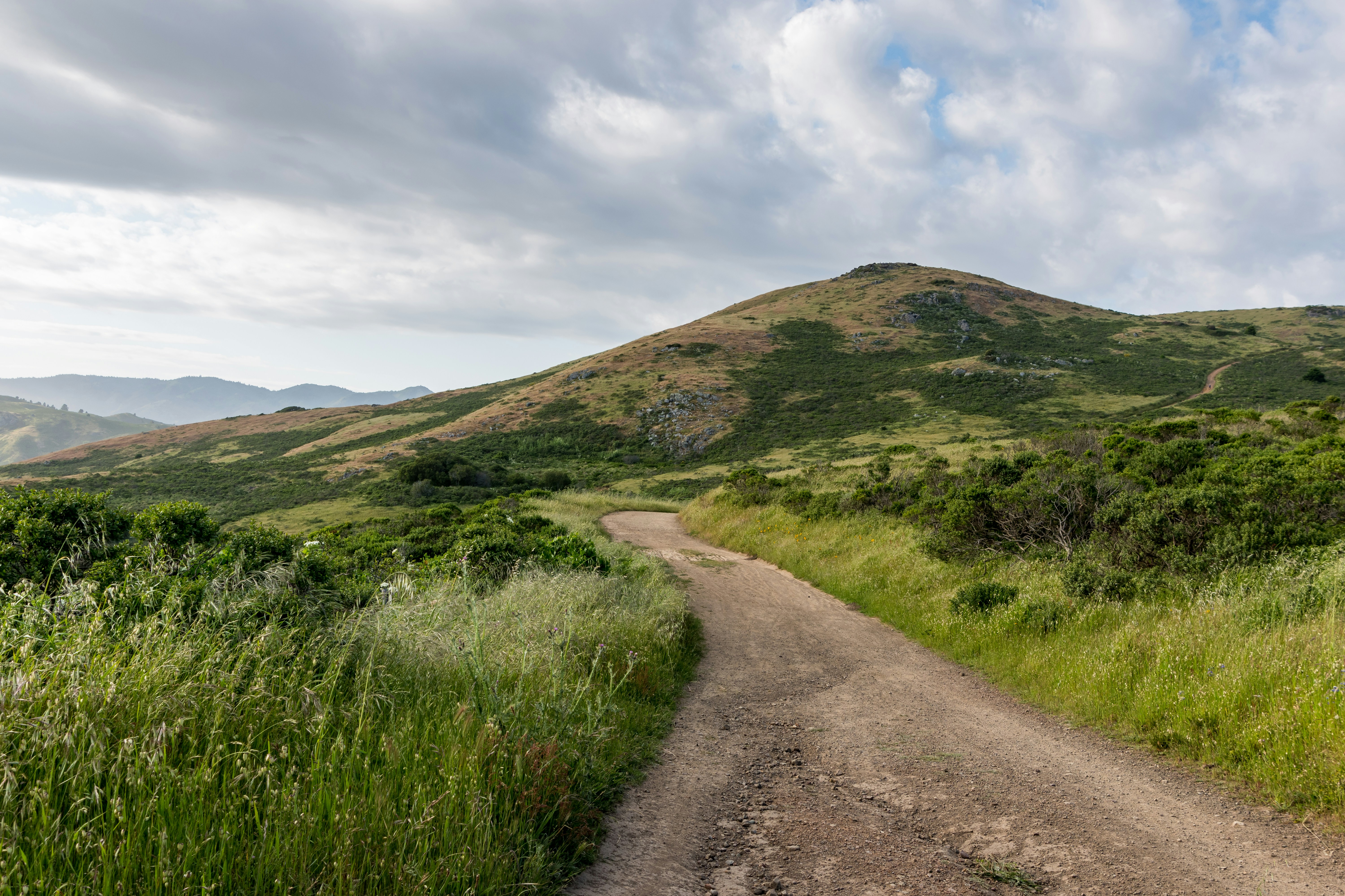 Free Unsplash photo from Matt McLean