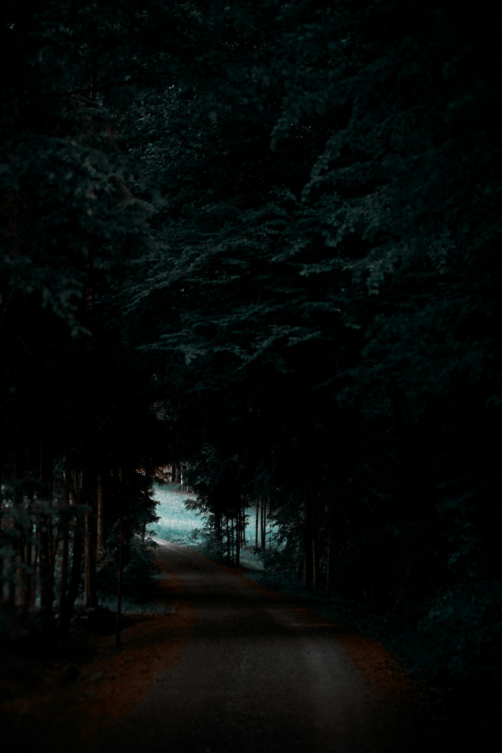 graue Straße zwischen Wald