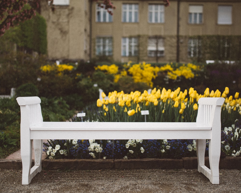 黄色い花びらの前の白い木製のベンチ
