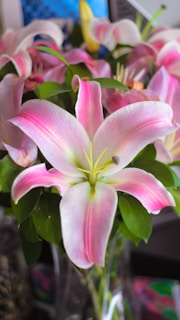 A vibrant wedding bouquet featuring soft pink roses and white lilies arranged elegantly.
