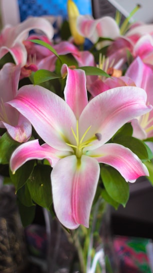 A vibrant wedding bouquet featuring soft pink roses and white lilies arranged elegantly.