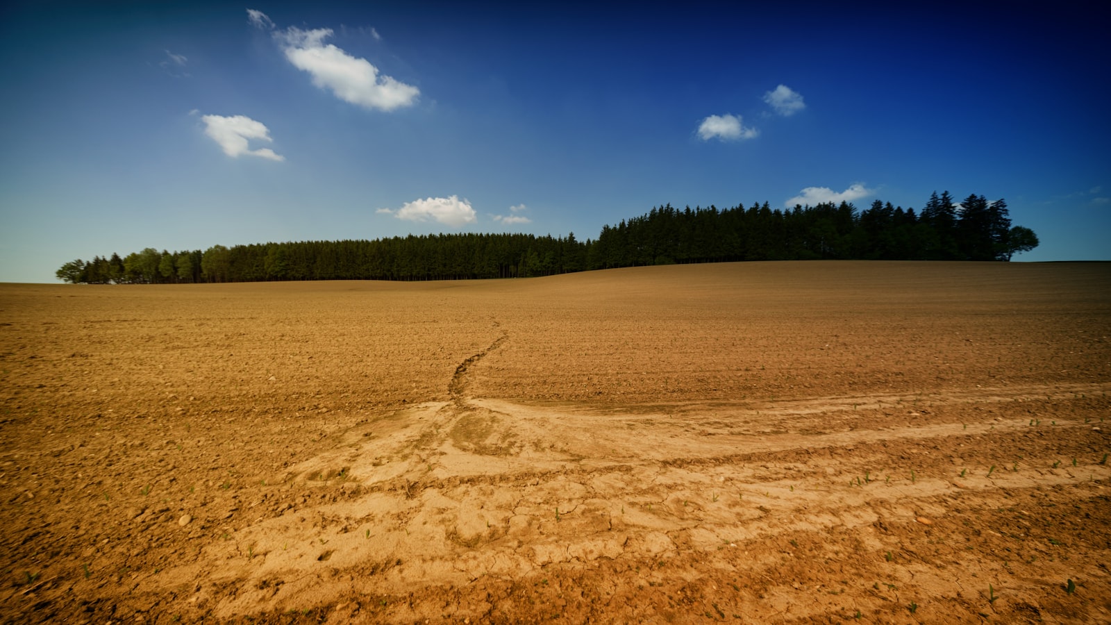 Sony a7 + DT 0mm F0 SAM sample photo. Desert land and forest photography