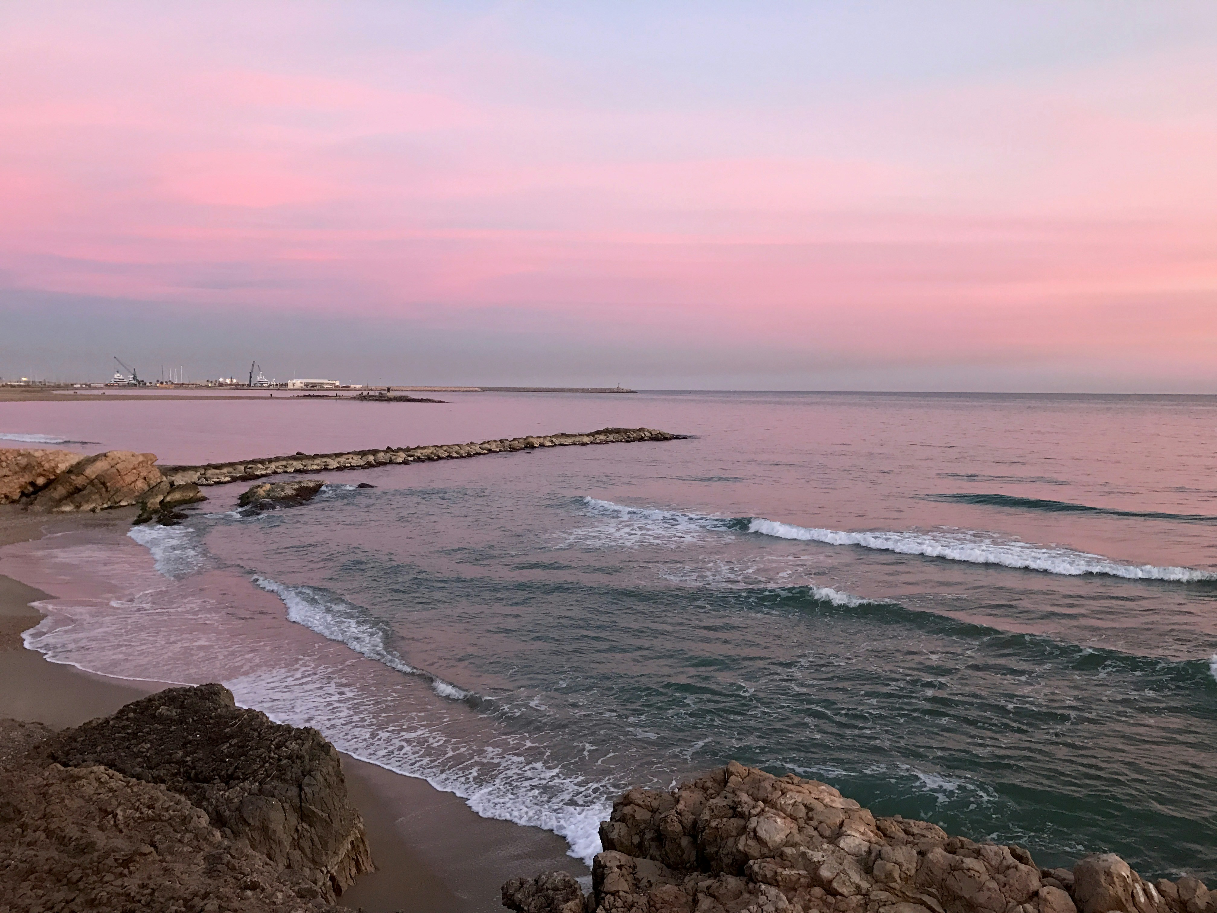 Free Unsplash photo from Alba Gamarra