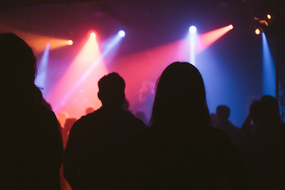 silhouette di persone che guardano sul palco con le luci