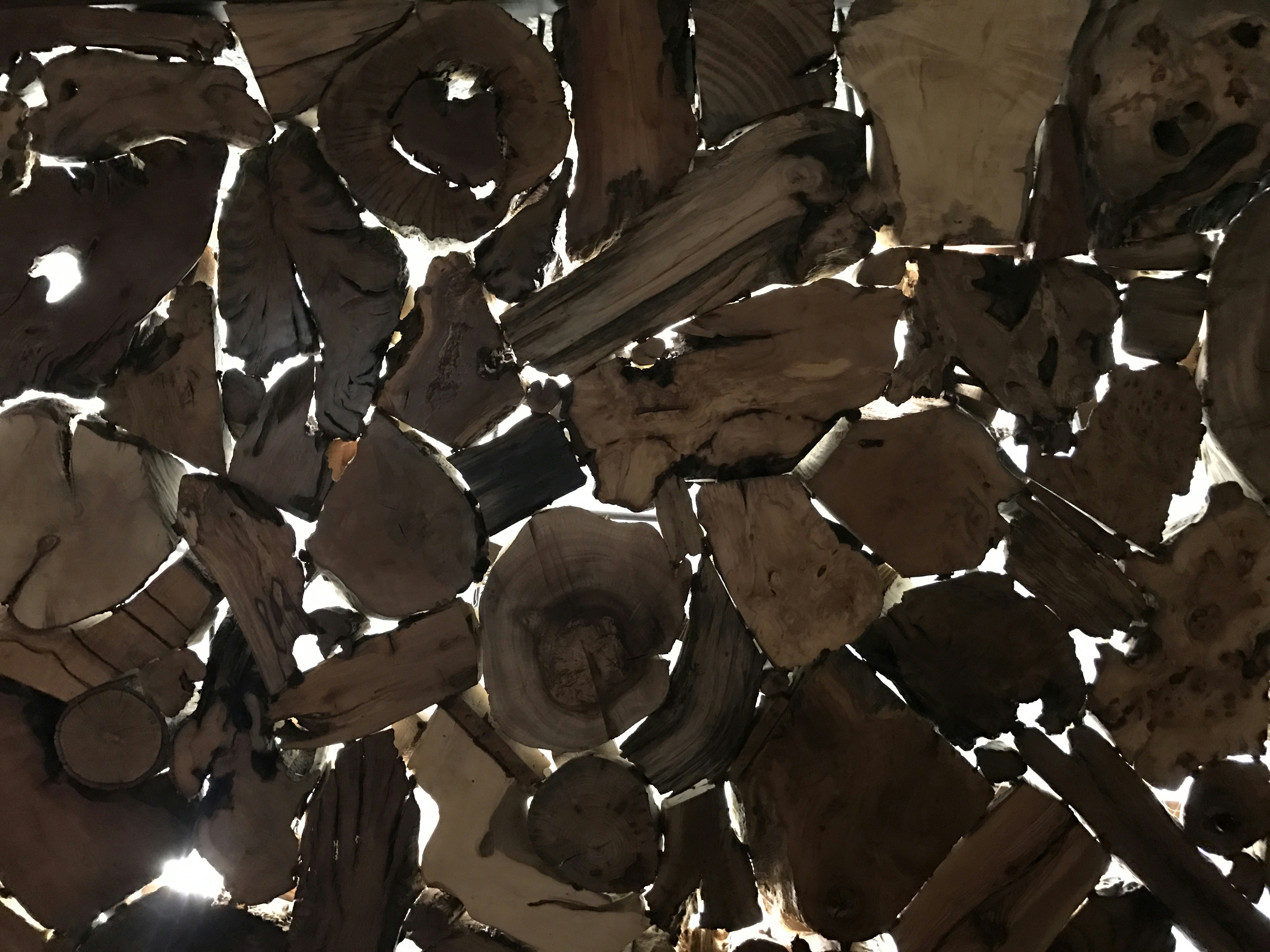 Free Unsplash photo from Kevin Struble