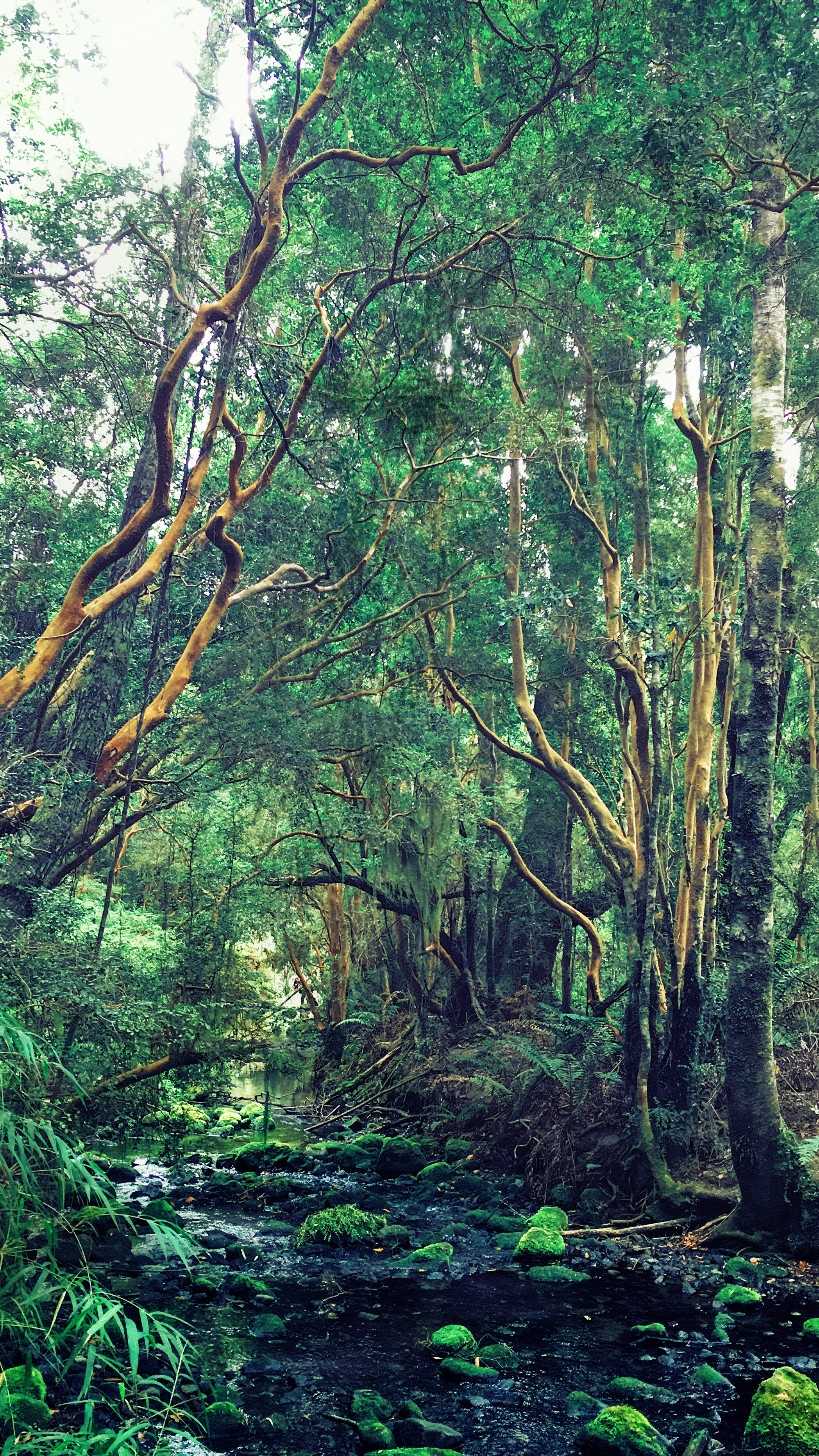 Free Unsplash photo from karla bello