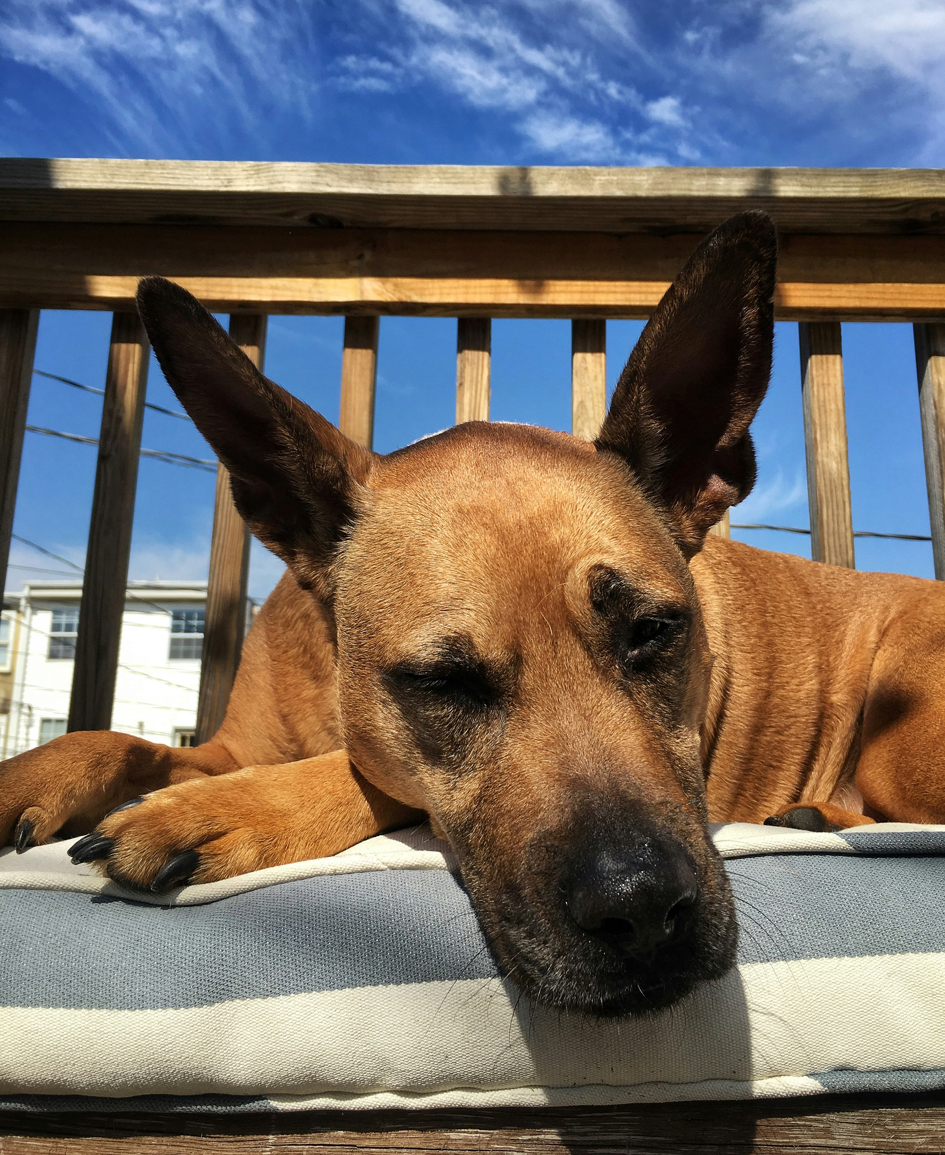 Free Unsplash photo from kate rowe