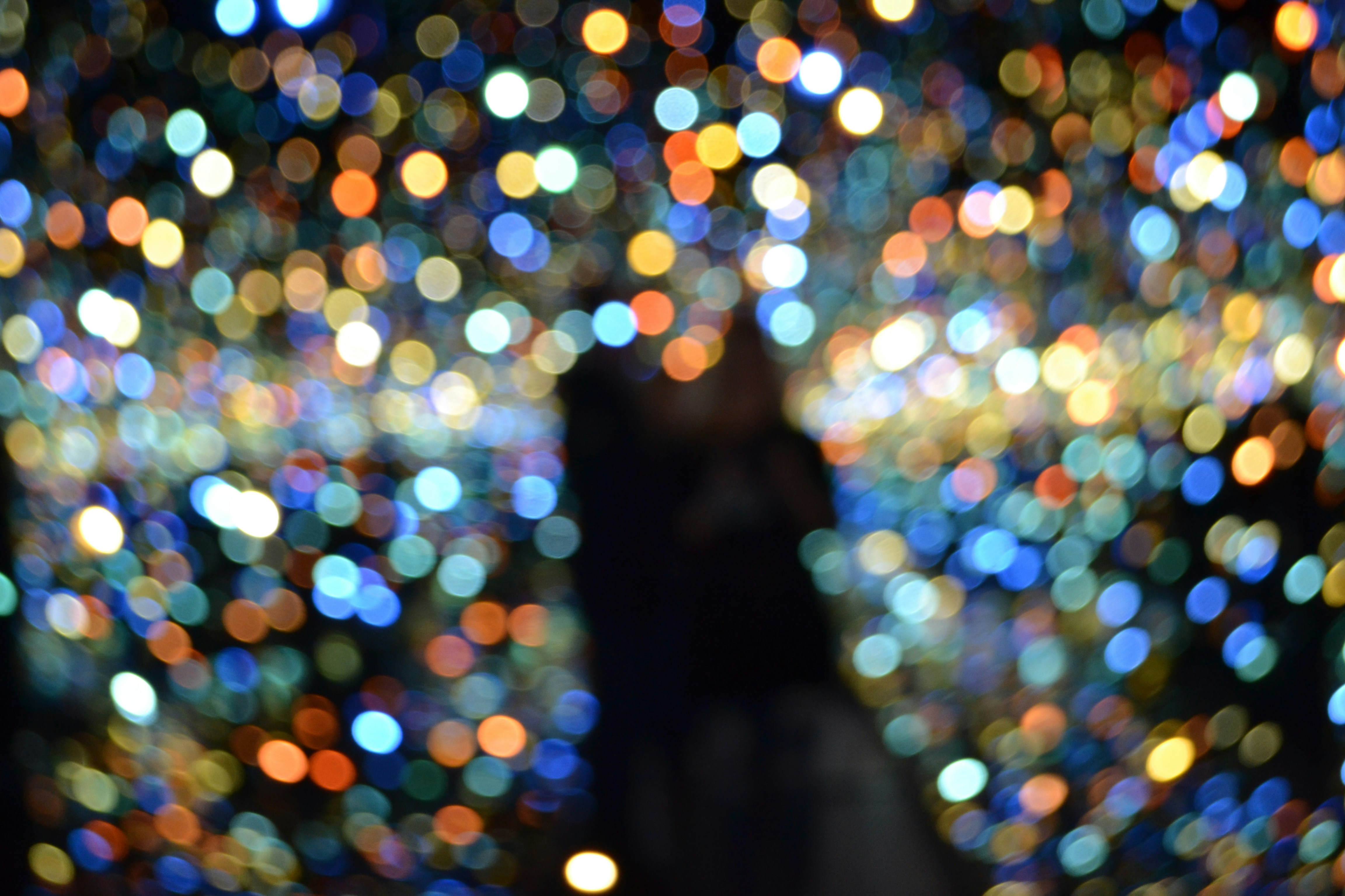 Free Unsplash photo from kate rowe