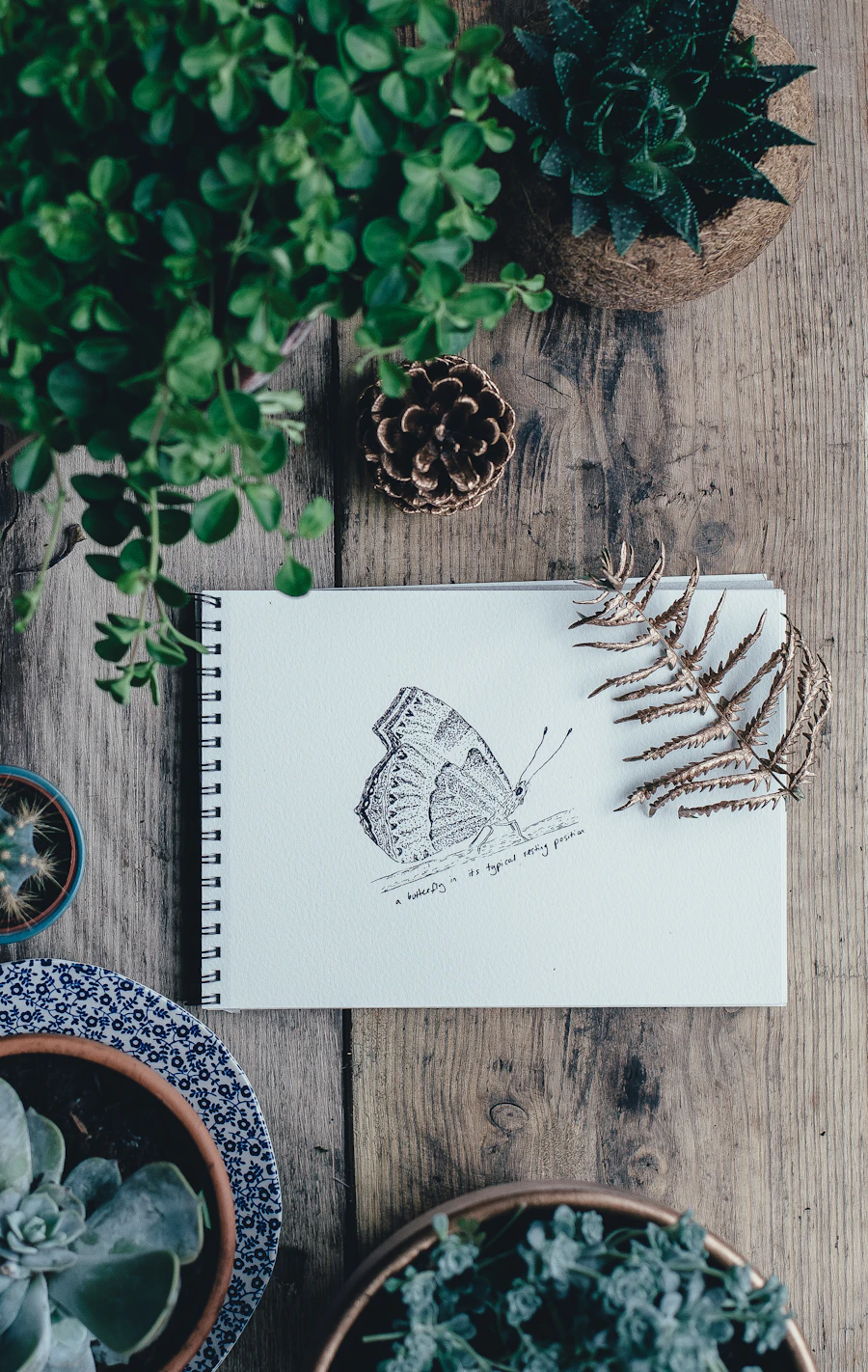 Art boards