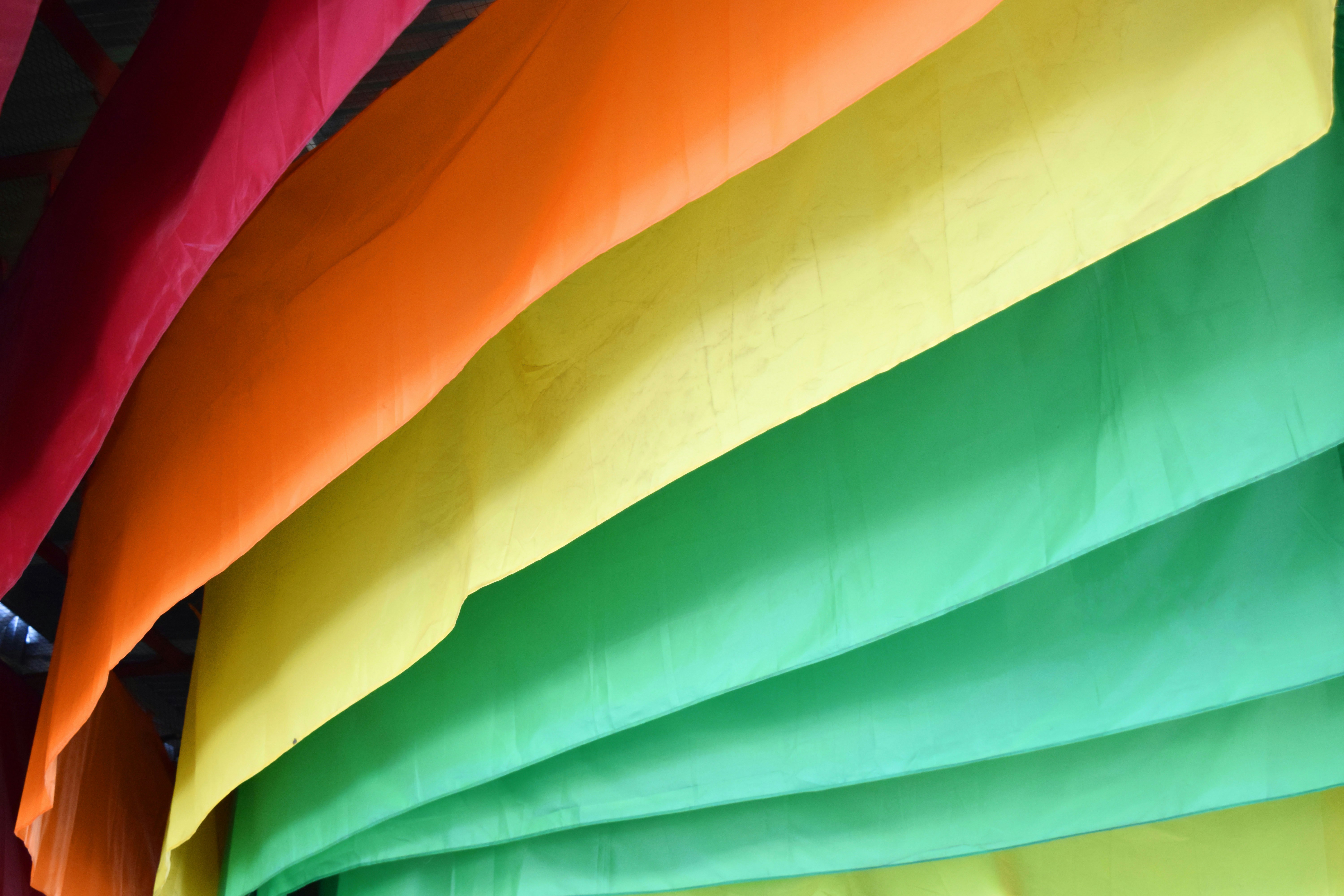 Free Unsplash photo from Phú Nguyễn