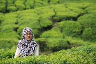 A woman in a floral patterned hijab stands amidst lush green tea plantations. The landscape features well-maintained rows of tea plants that create a textured, verdant backdrop.