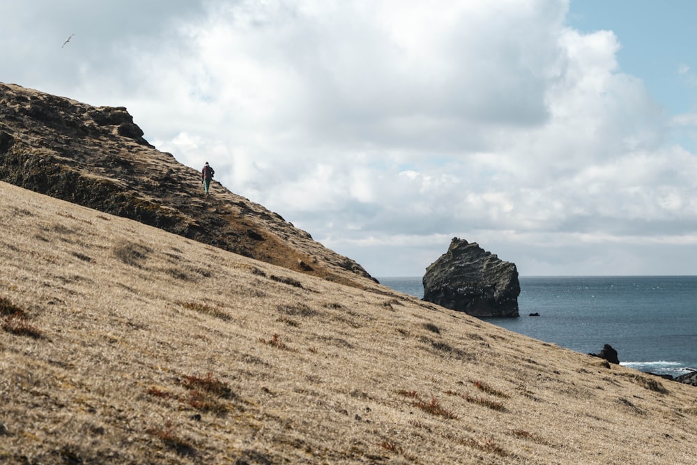 person standing on brown rock formation near body of water during daytime