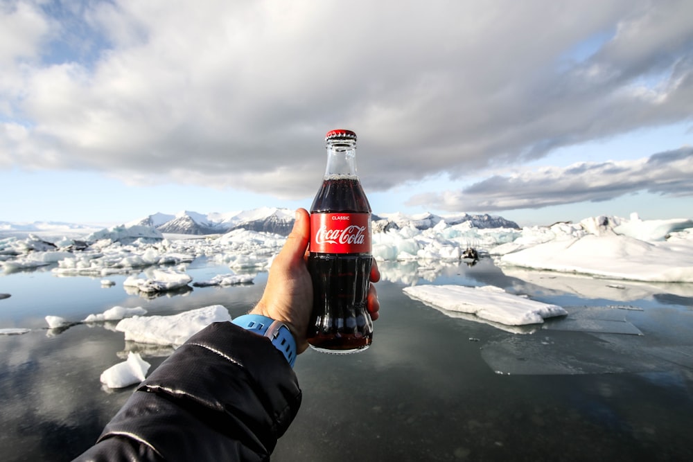 Persona mostrando foto de botella de Coca-Cola frente a icebergs