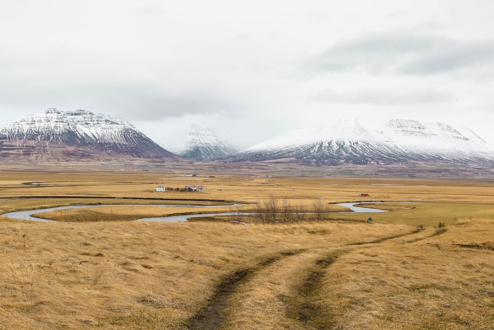 landscape photo of field of grass in front of mountain alps