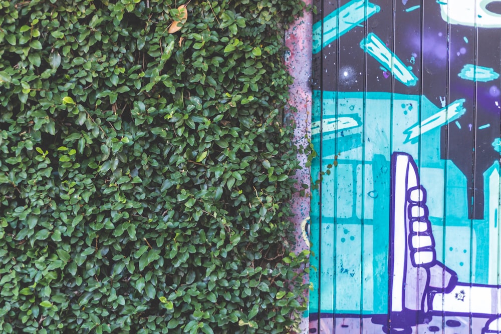 concrete wall with plants