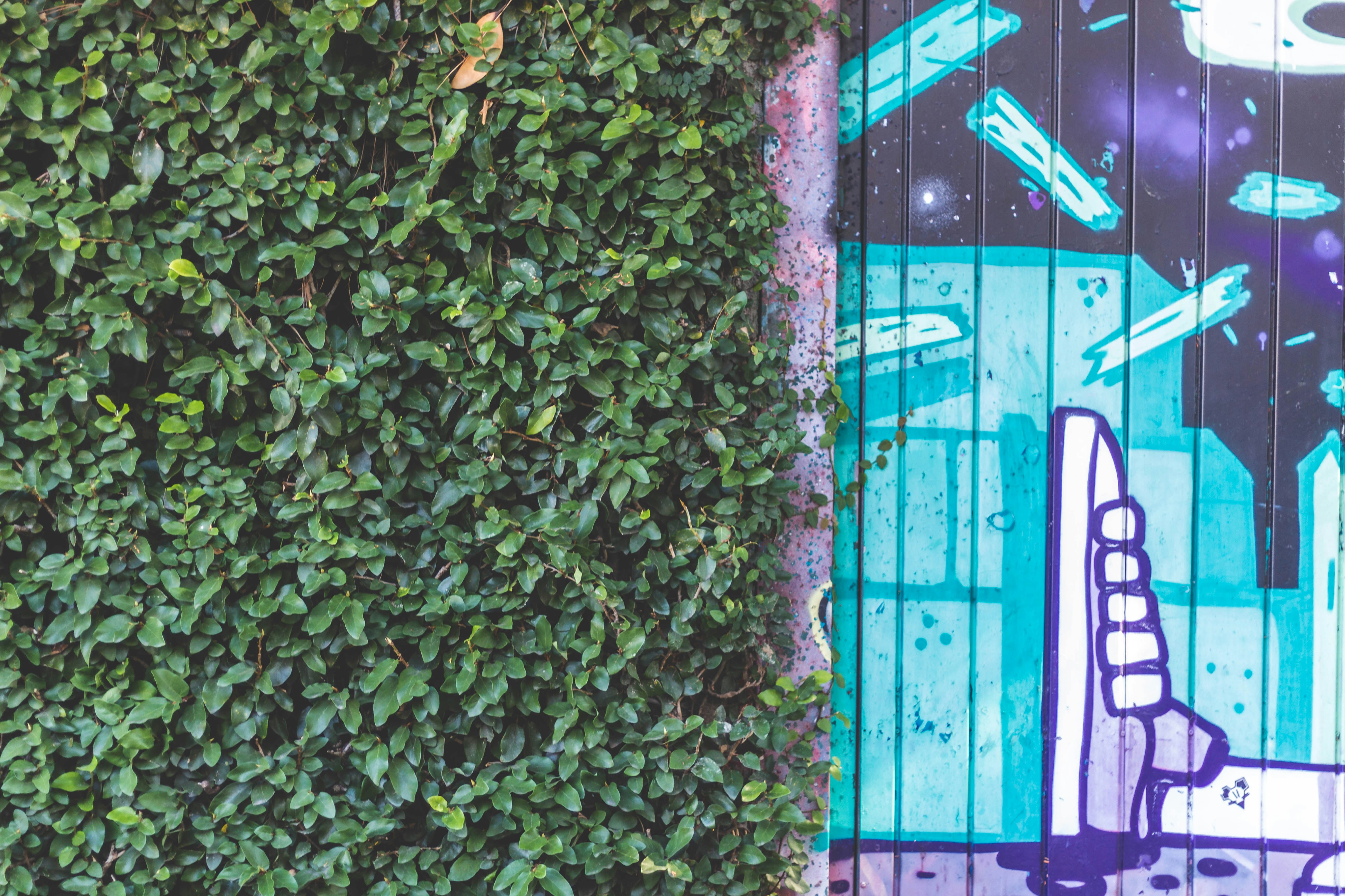 Street and Nature