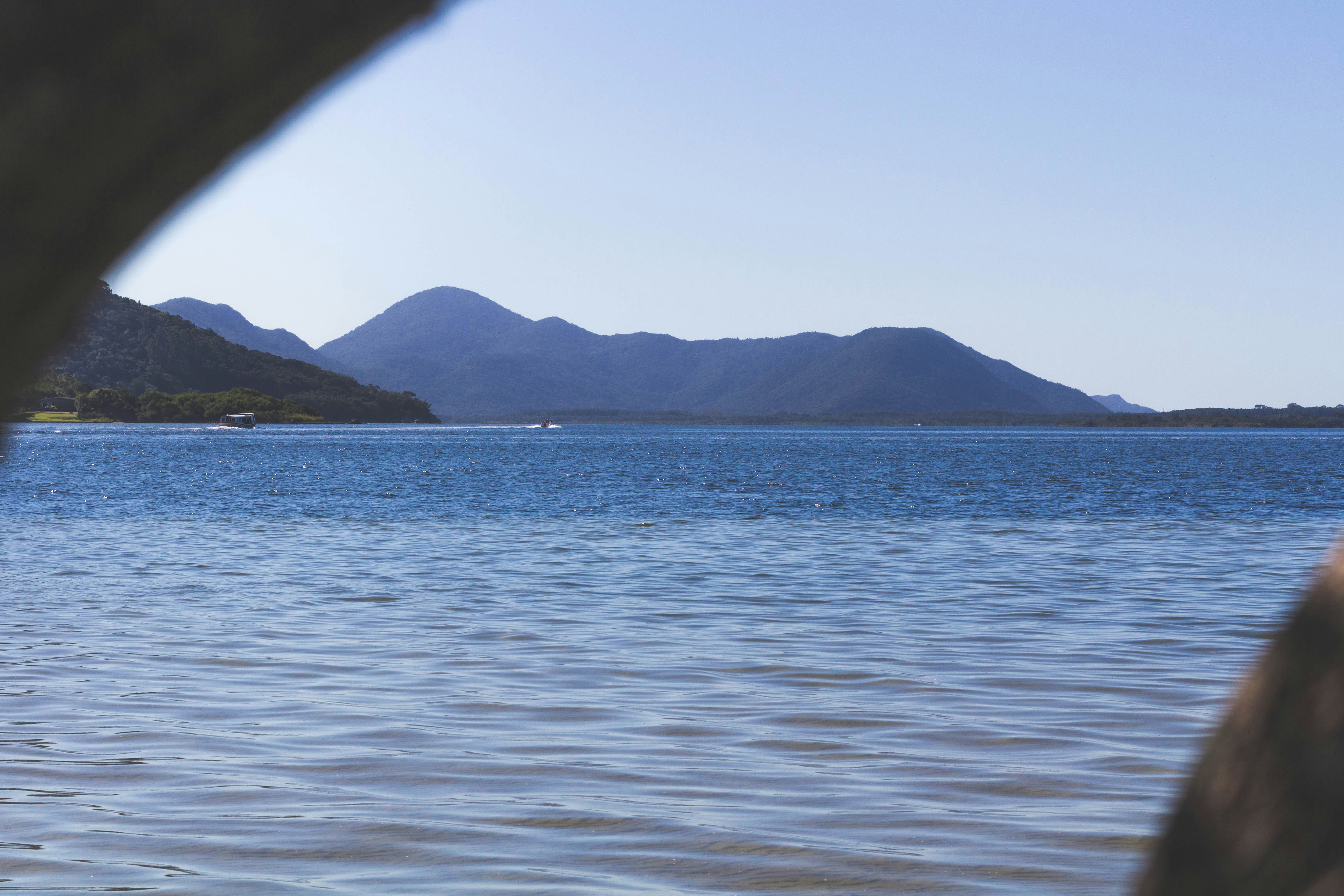 Free Unsplash photo from Diony de Lara