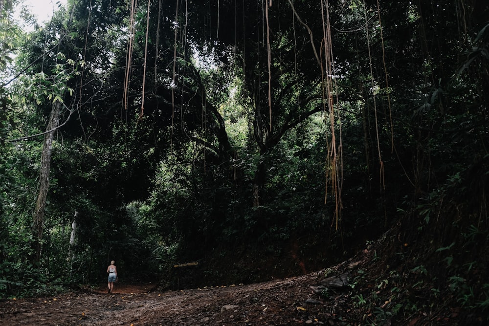 person standing into woods