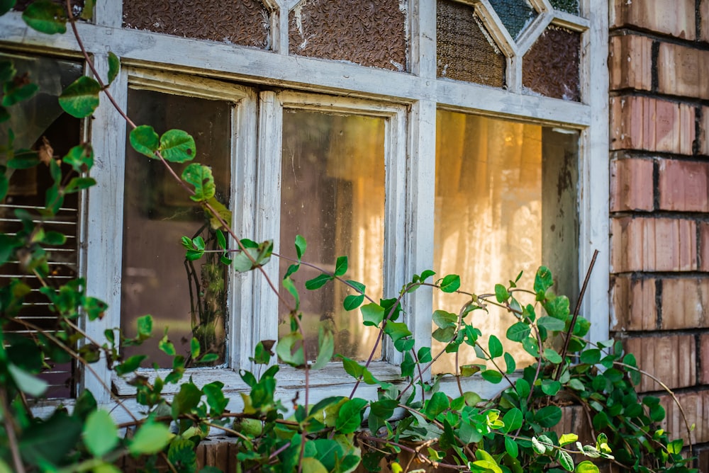 view of house window from outside