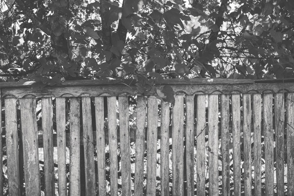 a black and white photo of a wooden fence