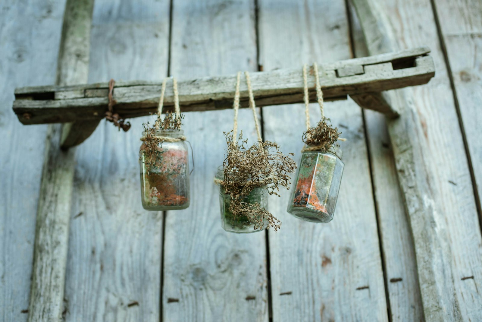 Nikon D750 + Nikon AF Nikkor 50mm F1.4D sample photo. Clear glass jar hanging photography