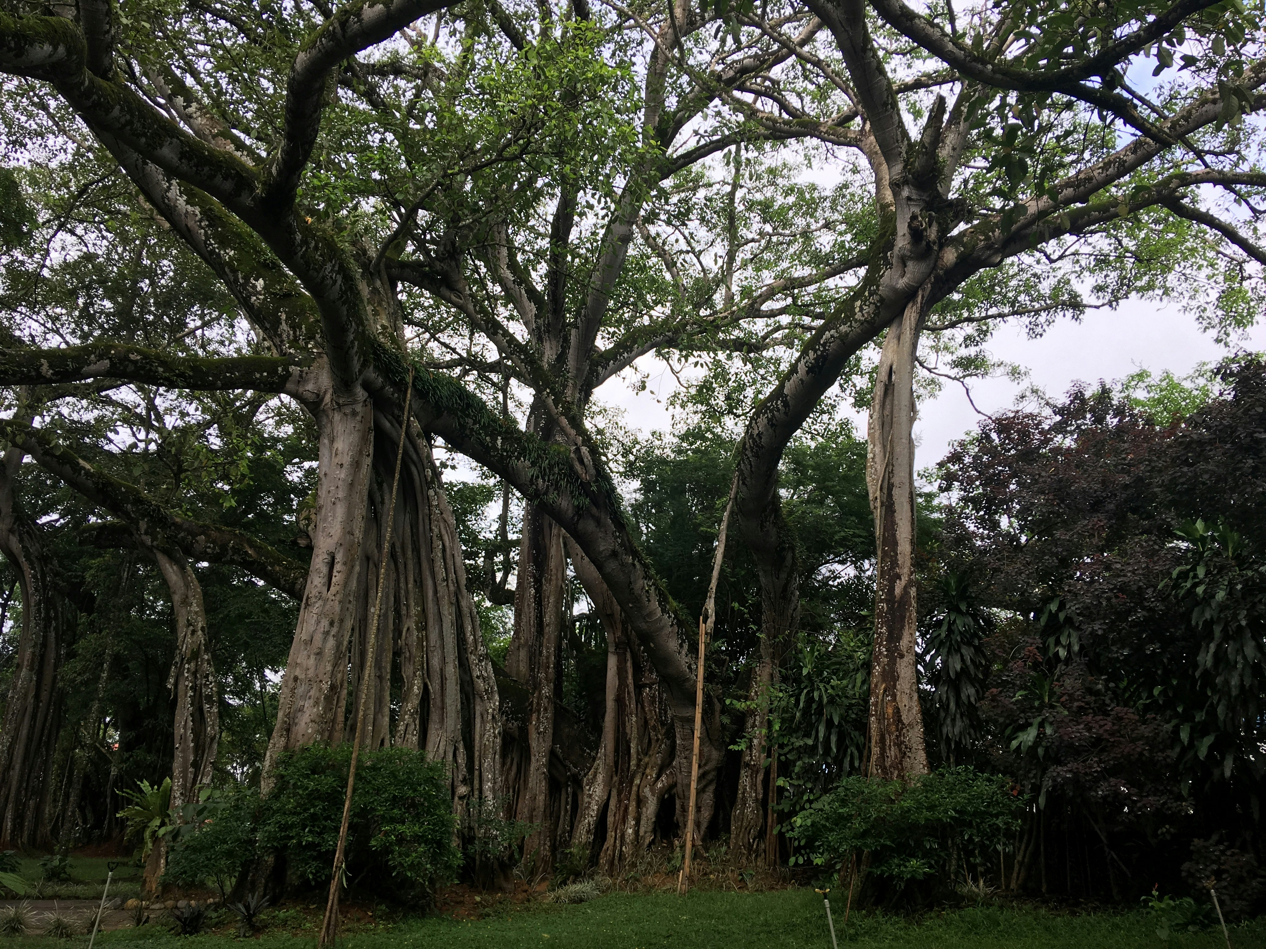 Free Unsplash photo from Thomas Xu