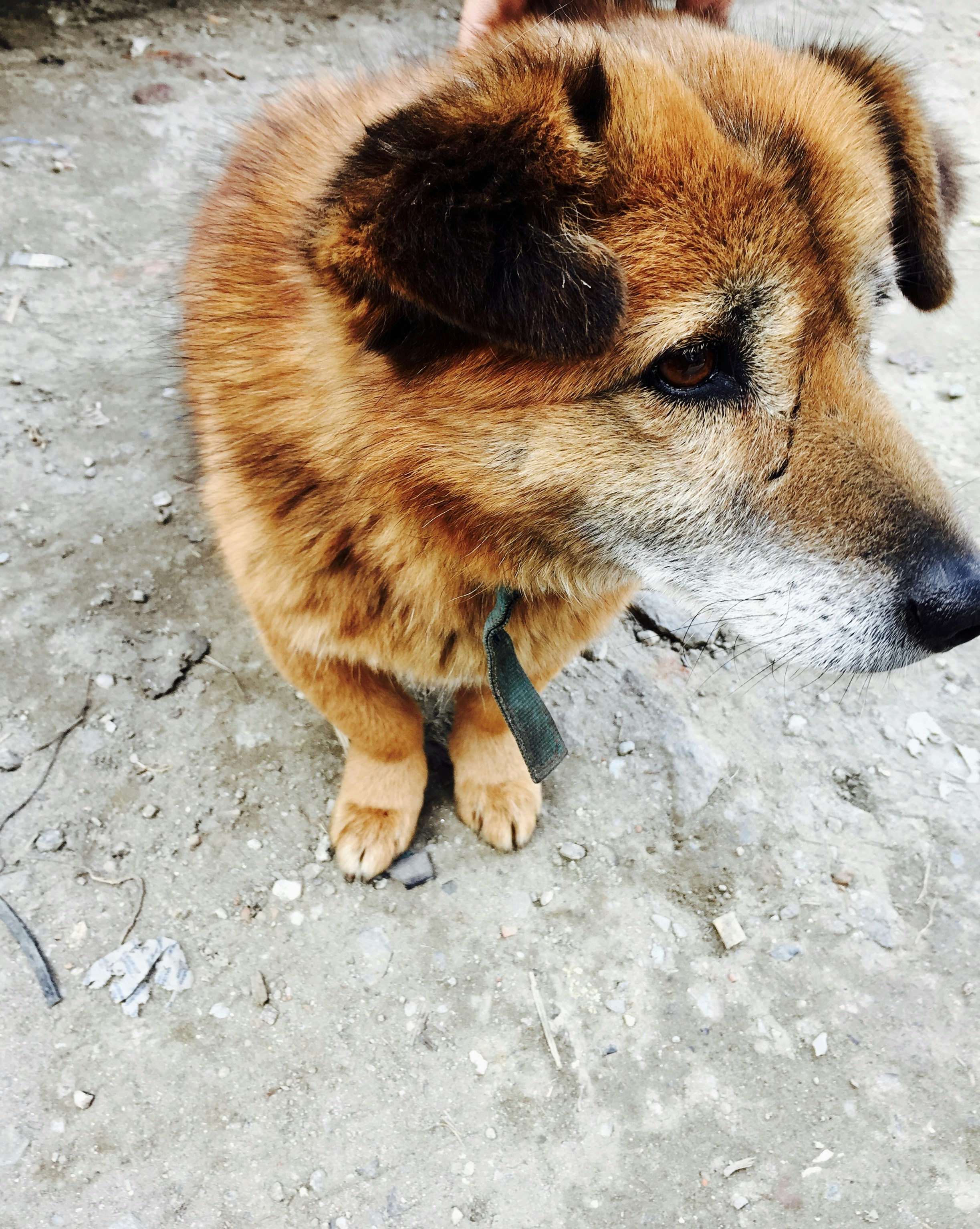 Free Unsplash photo from Divya Dinesh