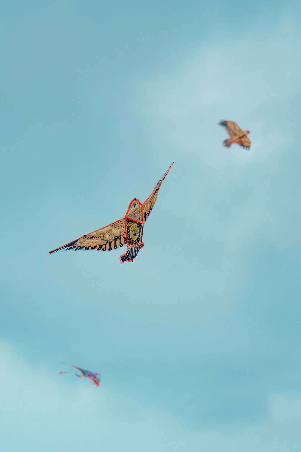 tilt shift lens photography of three kites