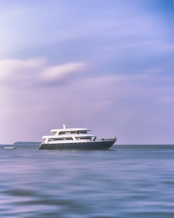 White and gray yacht