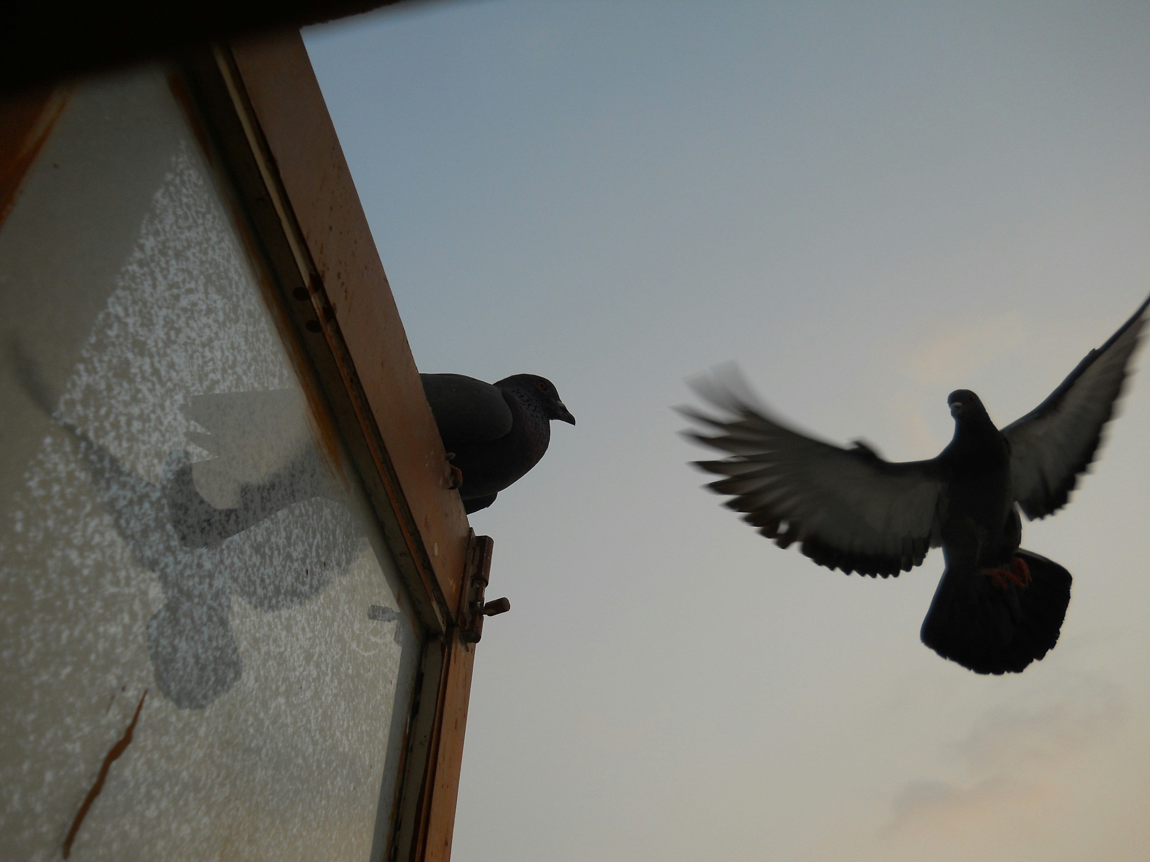 Free Unsplash photo from KV Prajapati