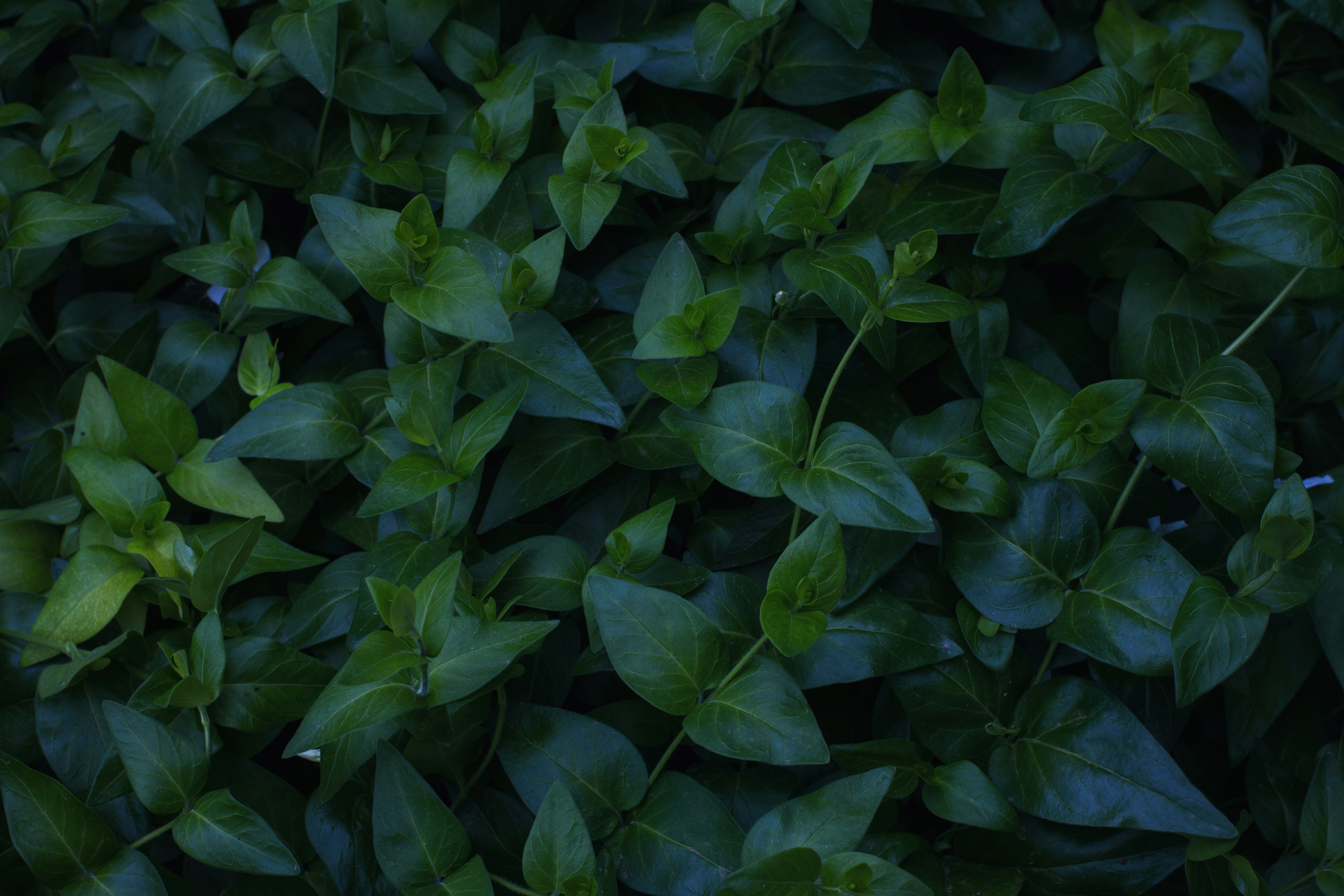 Free Unsplash photo from Roksolana Zasiadko