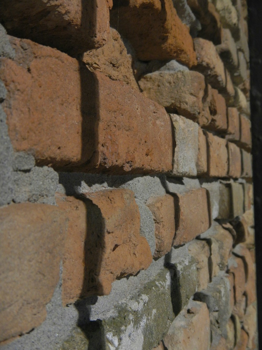 A macro shot from the side, capturing a traditional brick wall.
