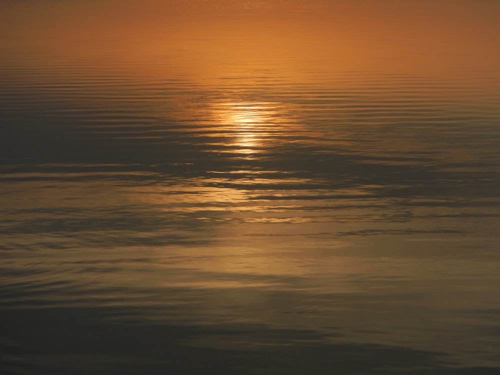 reflection of sun on body of water