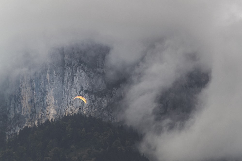 selective color of air gliding near fog